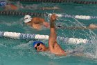 Swimming vs Babson  Wheaton College Swimming vs Babson College. - Photo By: KEITH NORDSTROM : Wheaton, Swimming, Babson